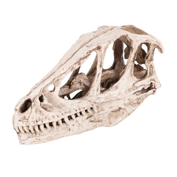 Dinosaur Skull Model, Practical Vivid Resin Dinosaur Skull, Desktop Decoration For Office Living Room