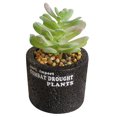 thumbnail image 1 of Coofit Artificial Succulent Mini Plastic Decorative Artificial Plant Fake Plant, 1 of 6