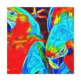 thumbnail image 2 of "Macaws in Motion" - Canvas, 2 of 25