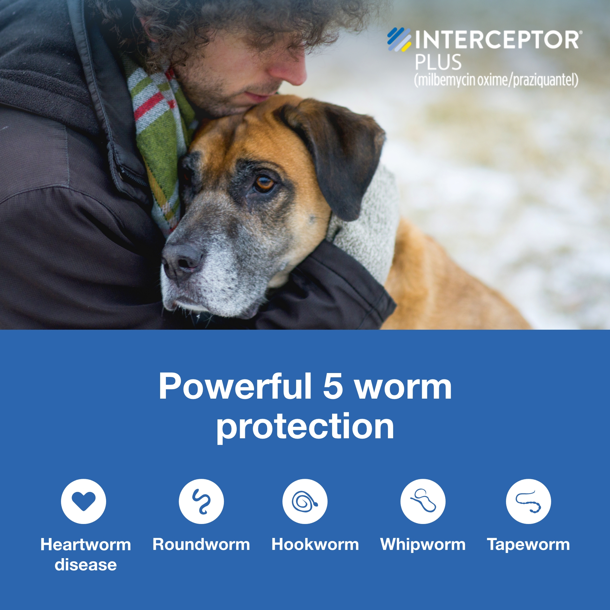 Interceptor Plus Prevention for Heartworm + 4 Other Worms for Dogs 50.1-100 lbs. 6 Chews, 6-Month Supply