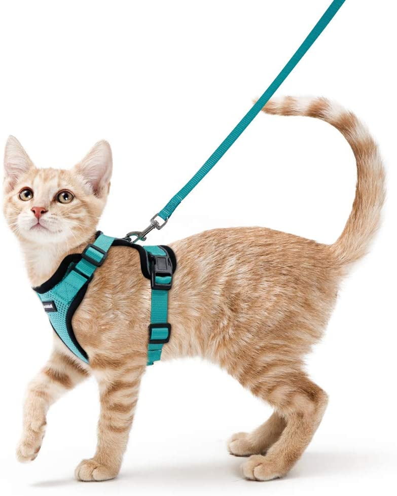 reflective cat harness