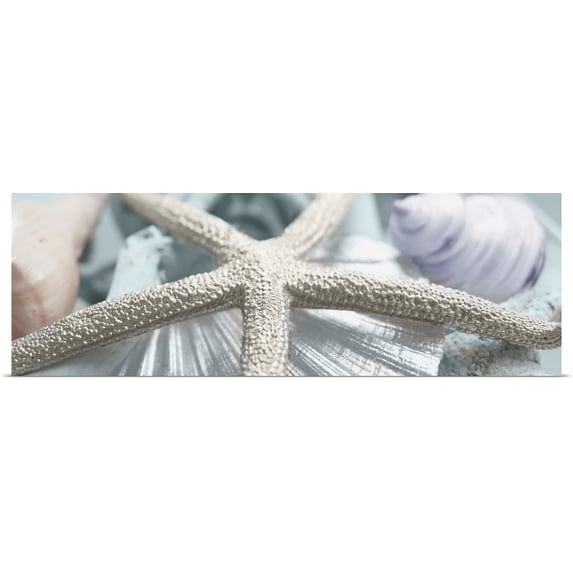 Great BIG Canvas | Rolled Susan Bryant Poster Print entitled Gold Seashells II