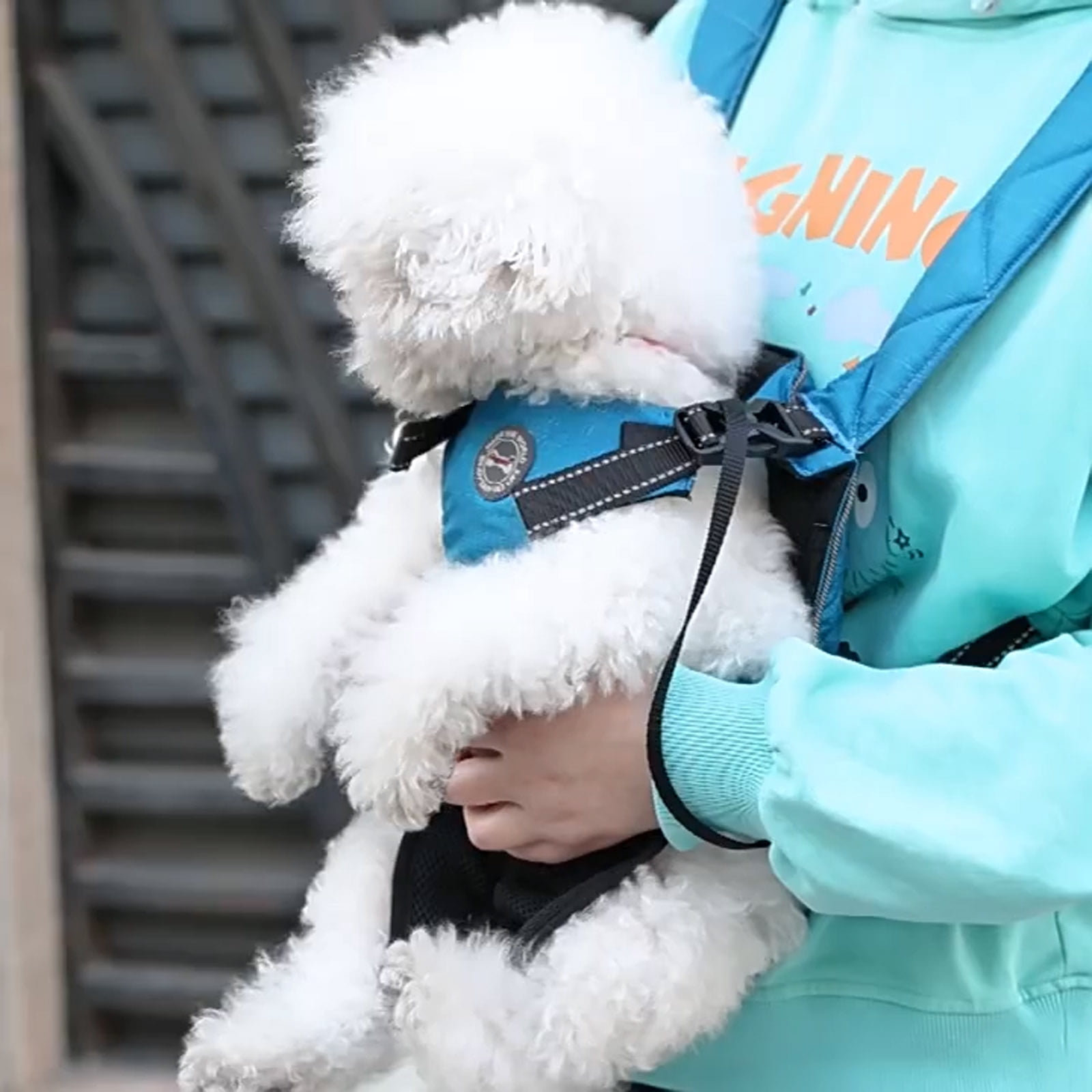 Dog Backpack Front Carrier For Small Dogs Travel Bag Legs Out Dog Carrier Backpack Hands-free Pet Carrier Backpack Front