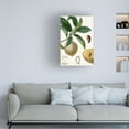 thumbnail image 3 of Turpin 'Turpin Tropical Fruit I' Canvas Art, 3 of 3