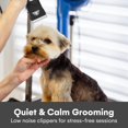 thumbnail image 4 of Kit de peluquería para perros Pet Union, cortadoras inalámbricas de bajo ruido, 4 of 8