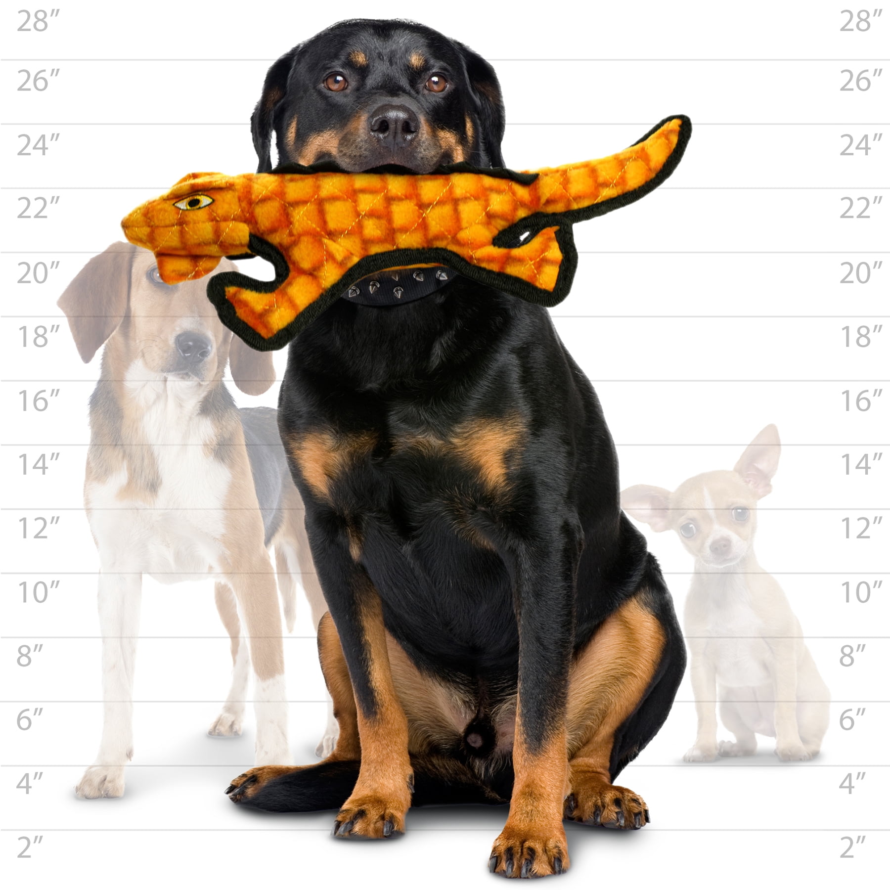 TUFFY® Desert Gila Monster, 2-Pack Durable Dog Toys