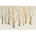 thumbnail image 2 of OToole, Tim 24x17 Gold Ornate Wood Framed with Double Matting Museum Art Print Titled - Bare Trees I, 2 of 4