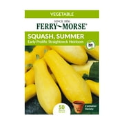 Ferry-Morse 3G Squash, Summer Early Prolific Straightneck Heirloom Vegetable Plant Seeds Packet