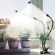 thumbnail image 2 of Grow Light,Full Spectrum White 84 LED Clip Plant Lights Indoor for Plants Growing, 4/8/12H Timer 5 Dimmable Levels, 2 of 5