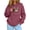 Brick Red, variant on Cat Hoodie With Pouch Pet Carrier Sweatshirt, Cuddle Pouch Hoodie with Kangaroo Pocket for Cats