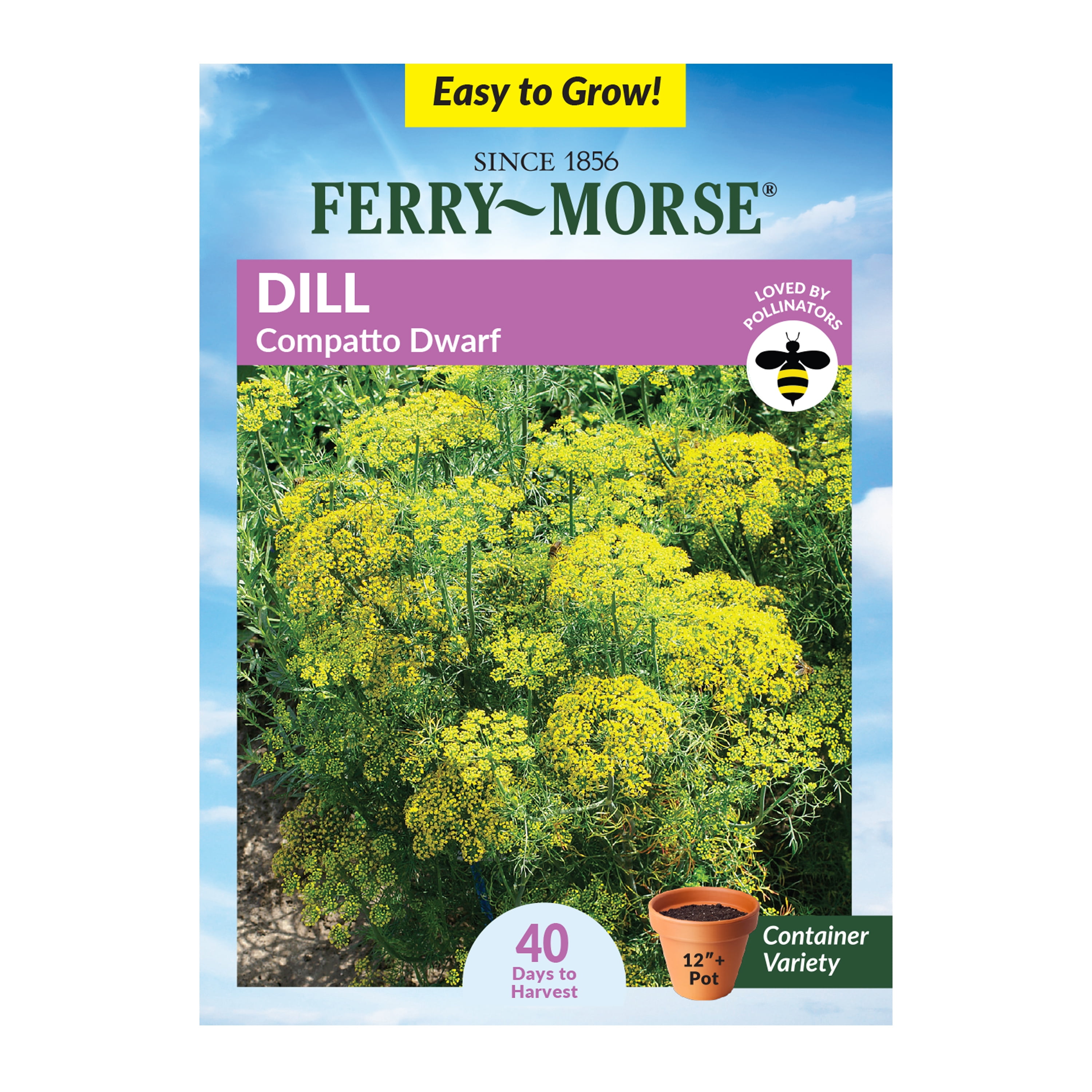 Ferry-Morse 40MG Dill Compatto Dwarf Herb Plant Seeds (1 Pack)- Seed ...