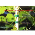 thumbnail image 2 of Attaches Ajustables Réutilisables pour Plantes - Sangles de Jardin en Nylon 1 cm x 2 m avec Adhérence Double Face, Attaches Antidérapantes Résistantes aux Intempéries pour Fixer les Vignes, Branches, Tomates et la Gestion des Câbles, Lot de 2 Rouleaux, 2 of 7