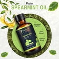 thumbnail image 6 of Spearmint Essential Oil for Diffusers, 6 of 9