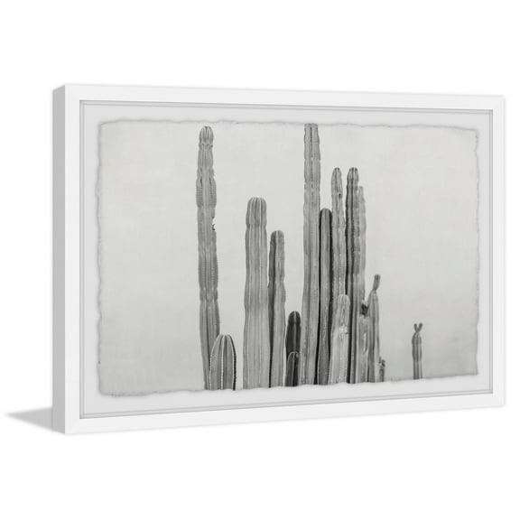 Long and Short Cacti Framed Painting Print