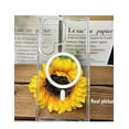 thumbnail image 5 of Funda Transparente Magnética Compatible Con Samsung S25 Ultra, 5 of 5