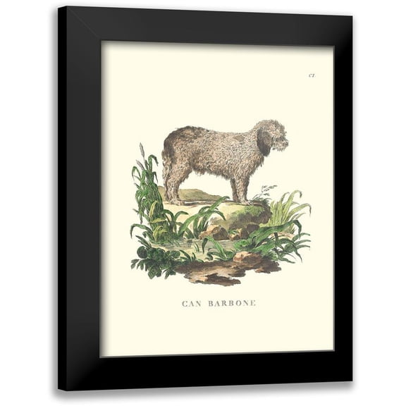 Unknown 12x14 Black Modern Framed Museum Art Print Titled - French Dogs XII