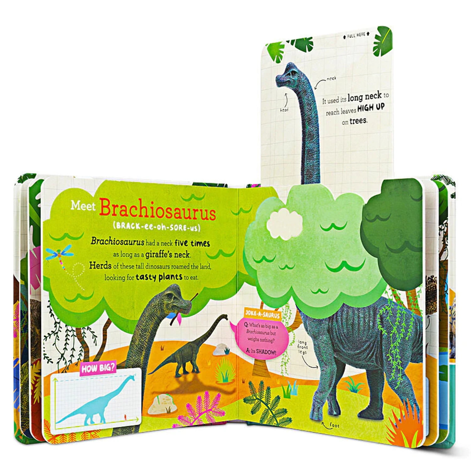Let's Explore: Dinos, (Board Book)
