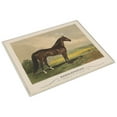 thumbnail image 3 of Print: Hambletonian, 3 of 4