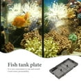 20 Pcs High Efficiency Filter Strainer Fish Tank Filters The Sand