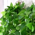 thumbnail image 3 of Plantas Colgantes Artificiales Bearachild 2 Piezas Hiedra Verde Hoja de Simulación, 3 of 6