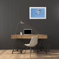 thumbnail image 3 of Day, Richard and Susan 24x17 White Modern Wood Framed Museum Art Print Titled - Trumpeter Swans-Cygnus buccinator-in flight Riverlands Migratory Bird Sanctuary-West Alton-Missouri, 3 of 4
