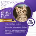 thumbnail image 4 of Royal Whiskers Cat UTI Medicine - Soft Chew Cat UTI Treatment & Urinary Supplement with D-Mannose, Cranberry, L-Arginine, Marshmallow Root, and Vitamin B6 - Urinary Support for Cats - 90 Chews (270g), 4 of 8