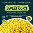 thumbnail image 5 of (12 Pack) Legurme Ready to Eat Sweet Corn, Gluten Free, Plant Based, Vegan, NO Preservatives, NO Colorants, NO Artificial Flavors, 7.8 oz, 5 of 8