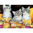 thumbnail image 1 of Taladro Pintura Diamante (DE5912) DIY 5D Resina Dibujo Completo Ronda Cat Dream Kit (B785) 30x40cm Hugtrwg Para estrenar, 1 of 1