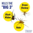 thumbnail image 6 of TERRO T2302 Spider Killer Aerosol Spray, 6 of 6
