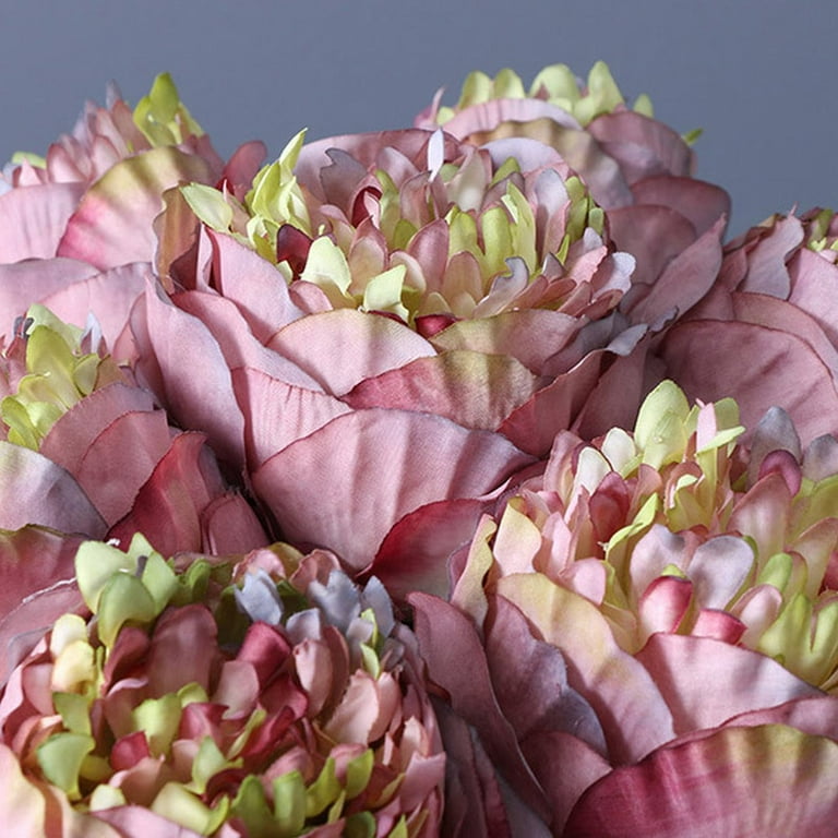 Ornamental Cabbage Hand Tied Flower Bouquet 5 Peonies North American  European Style Garden Home Decoration Ornaments Flowers Silk Flowers Dry  Foam for