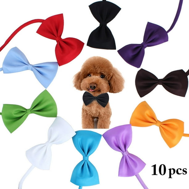 Dog bow ties near cheap me