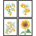 thumbnail image 3 of PixonSign Framed Summer Lemon Fruit Sunflower Plants Wall Art, Set of 4 Nature Wildeflowers Wall Decor Prints, Botanical Floral Wall Décor, Landscape Canvas Poster for Home - 12"x16" Black, 3 of 5