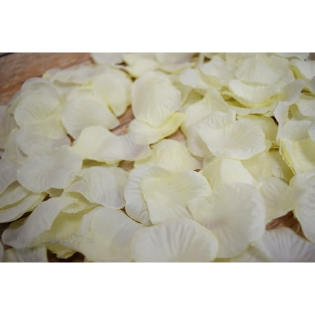 Bulls Silk - Quasimoon Beige / Ivory Silk Rose Petals Confetti for Weddings in Bulk by PaperLanternStore