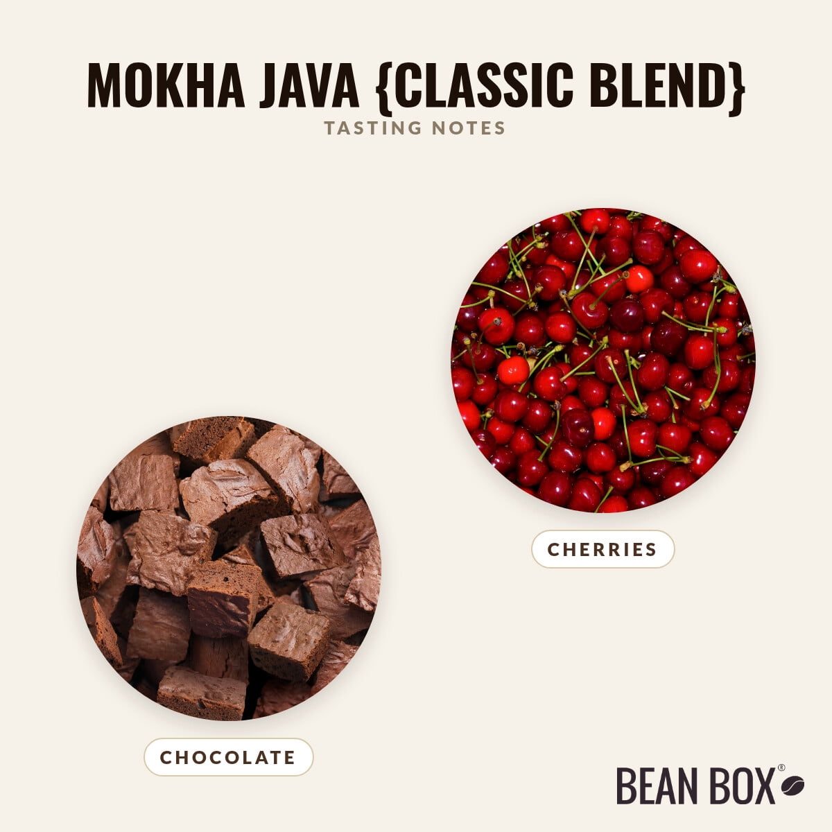 Mokha Java Classic Blend - Roasted by Noble Coffee Roasting - Whole Bean Coffee - 5lb Bag