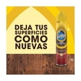 thumbnail image 3 of Lustrador Renovador de Muebles de Madera y Cuero en Aerosol Pledge Ambar y Argán 378 ml, 3 of 4