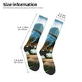 thumbnail image 2 of Cauagu Lake Forest Dinosaur A Print Women's Men's Ankle Socks 1-pack Casual Athletic Socks for Unisex Adult Moisture-Wicking Socks for Daily Wear/Running/Sport, 2 of 8
