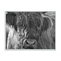 Designart 'Close Up Scottish Highland Cows Living On Moorland' Farmhouse Framed Canvas Wall Art Print
