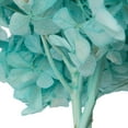 thumbnail image 4 of Vickerman 15" Turquoise Hydrangea with Multiple Branch Segments, Preserved, 4 of 4