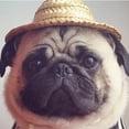 thumbnail image 2 of Baohd Chapeau de Paille pour Chiots Mini Animaux de Compagnie 14cm 1Set, 2 of 6