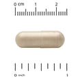thumbnail image 2 of Vitacost ROOT², KSM-66® Ashwagandha, 300 mg, 60 Capsules, 2 of 5