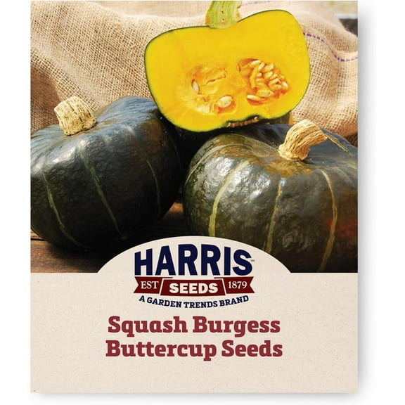 Harris Seeds - Squash Seeds - Sweet Burgess Buttercup Vegetable Non-GMO - 1 Oz.