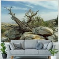 thumbnail image 4 of Orinice Rocks Desert Tapestry Wall Hanging Unique Style Graphic Tapestries Home Wall Decor for Living Room Bedroom Apartment Farmhouse 40x60inch, 4 of 6