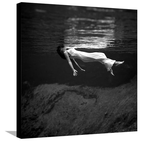 Art.com Weeki Wachee Spring, Florida Stretched Canvas Print Wall Art by Toni Frissell, 24" x 24"