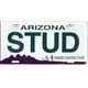 Plaque d'Immatriculation de l'Arizona Stud – image 2 sur 2