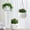 White-WH-clearacne, variant on PpgejGEK Hanging Rattan Planter Basket with Water Barrier, 9.84 x 7.87 x 25.59 Inch Indoor Outdoor Flower Pot for Succulents Vines, Blue Gray Coffee White Colors, No Root Rot Design