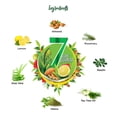 thumbnail image 3 of Dabur Vatika Anti Dandruff Shampoo, 340Ml, 3 of 4