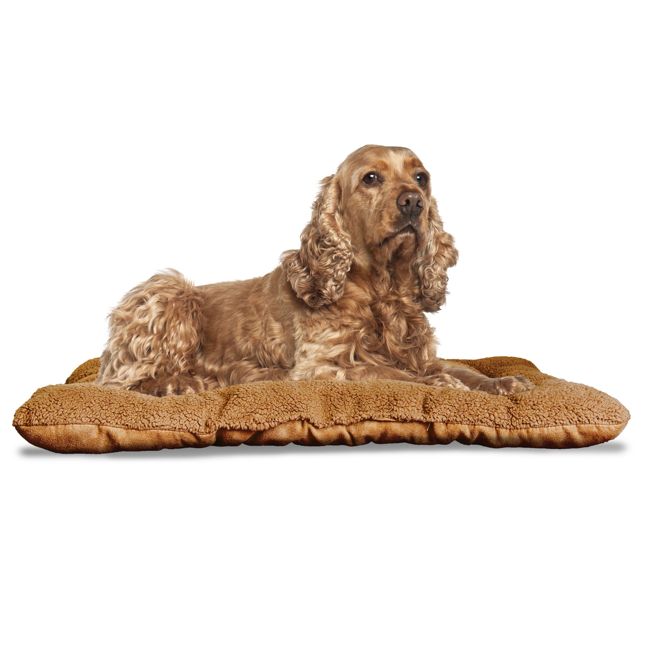 FurHaven Pet Kennel Pad Reversible Terry and Suede Pet Tufted Pillow