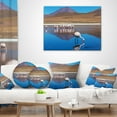 thumbnail image 3 of Designart Beautiful Flamingos in Bolivia - African Landscape Printed Throw Pillow - 18x18, 3 of 4