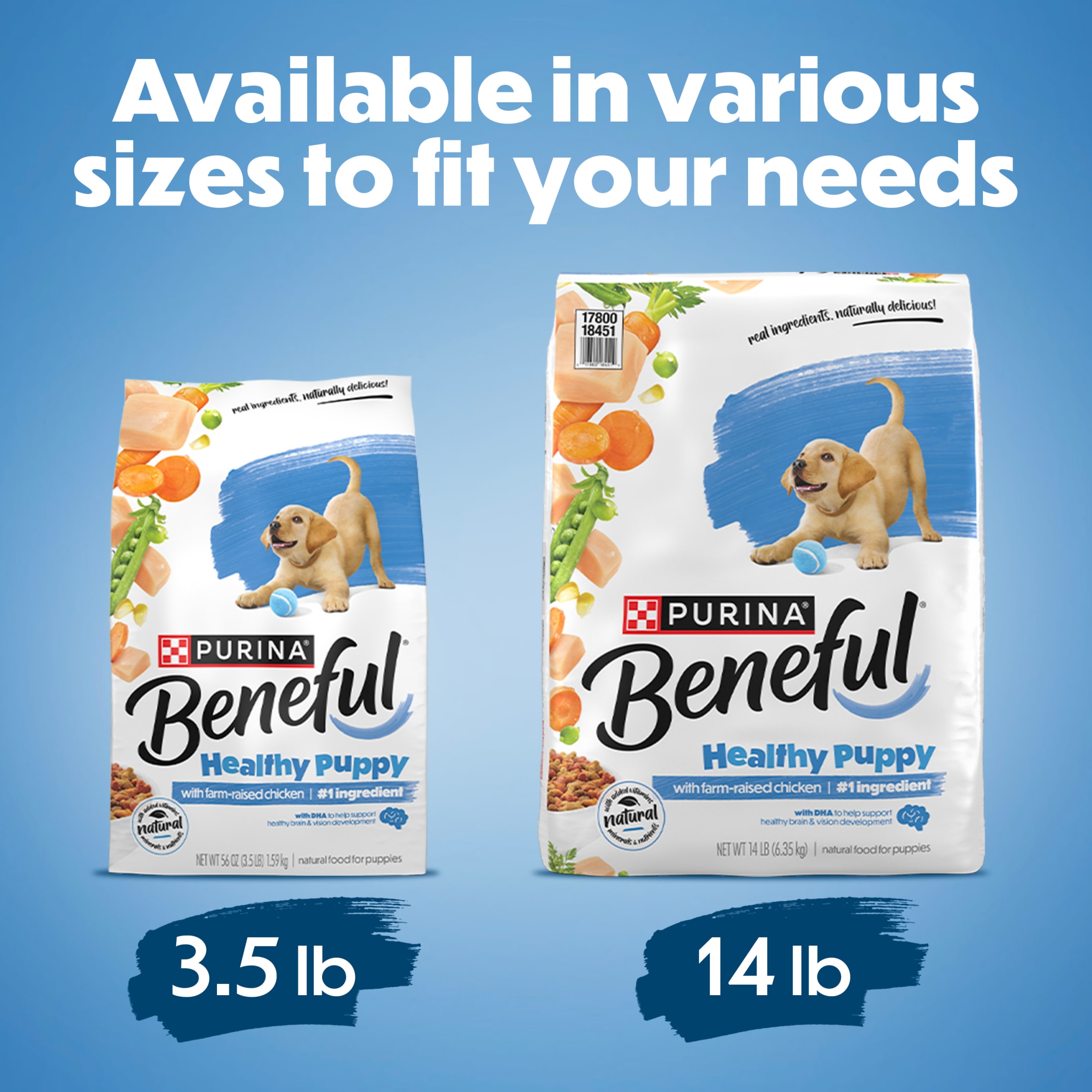 Beneful Healthy Puppy Dry Dog Food with Chicken photo 8
