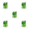thumbnail image 1 of Toystoory Plantas de flores secas Fabricación en seco para funda de teléfono móvil DIY Hogar Boda Epoxi Colgante Anillo Accesorio type8 Type1 NO1, 1 of 6